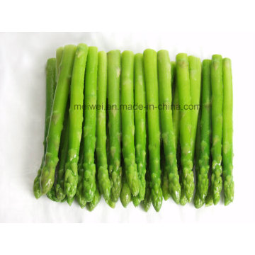 Vegetable Canned Green Asparagus From China